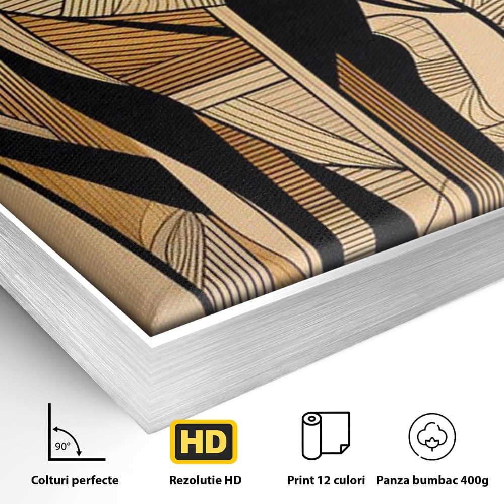 Detaliu al suprafetei: tablou canvas cu elefant geometric, in rama de aluminiu argintiu